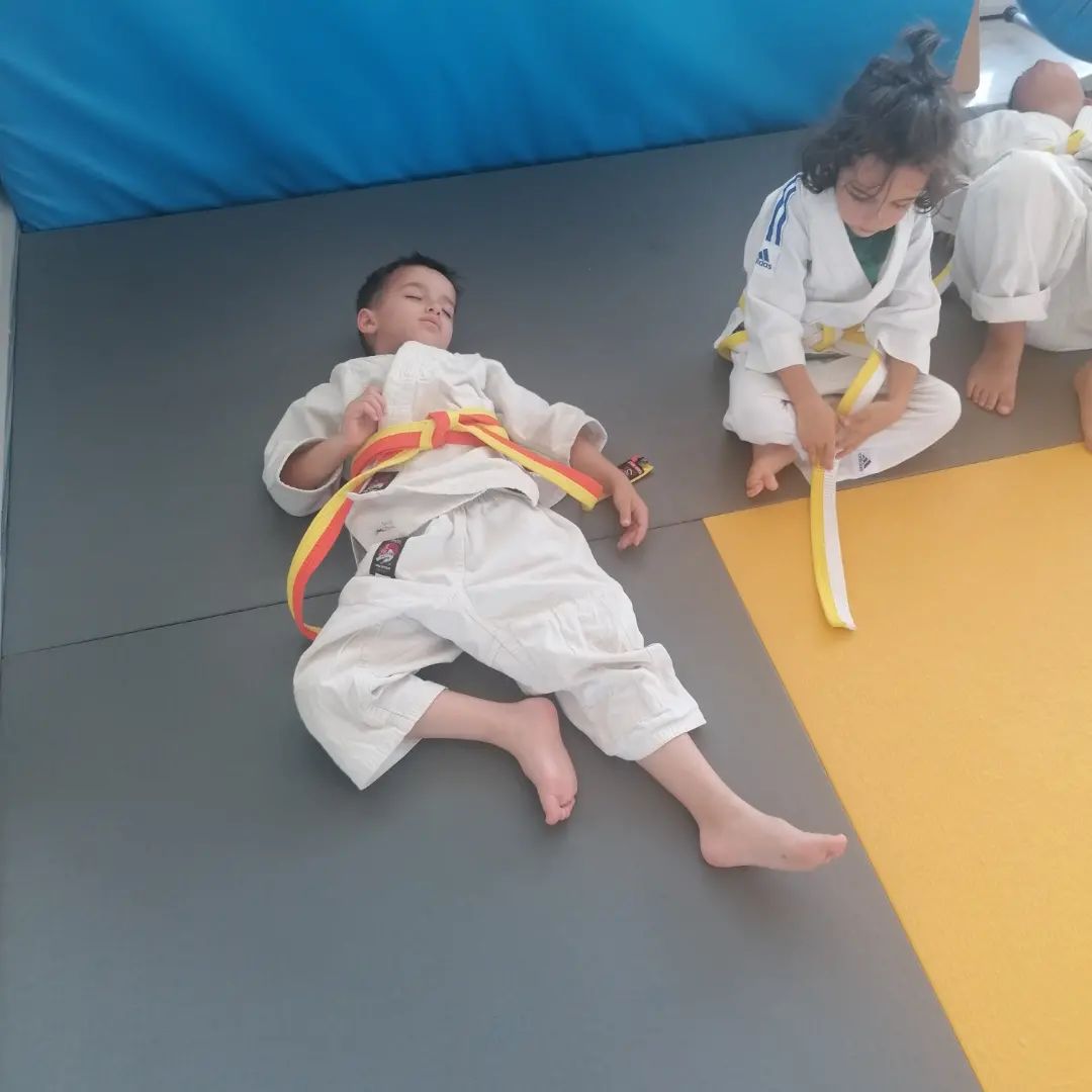 Martial Arts Club Rafina: Διαδικασίες Προαγωγής Ζώνης